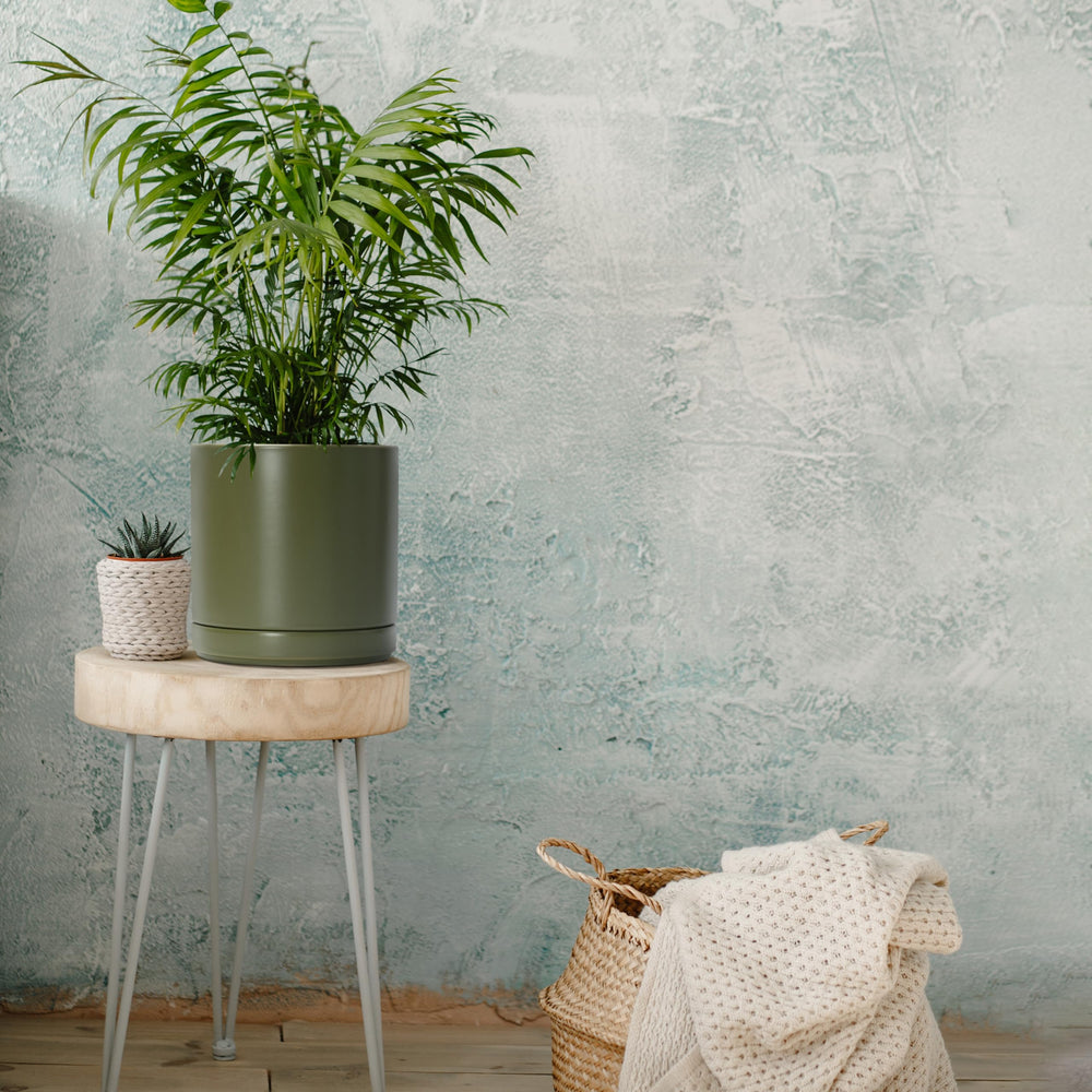Accessories included with D'vine Dev planter: mesh and scratch pad.