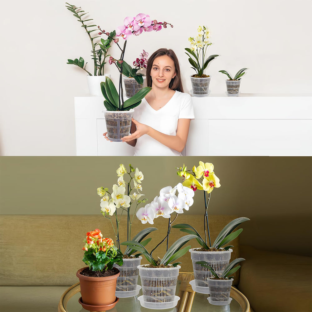 Accessories included with Tialero orchid pot set