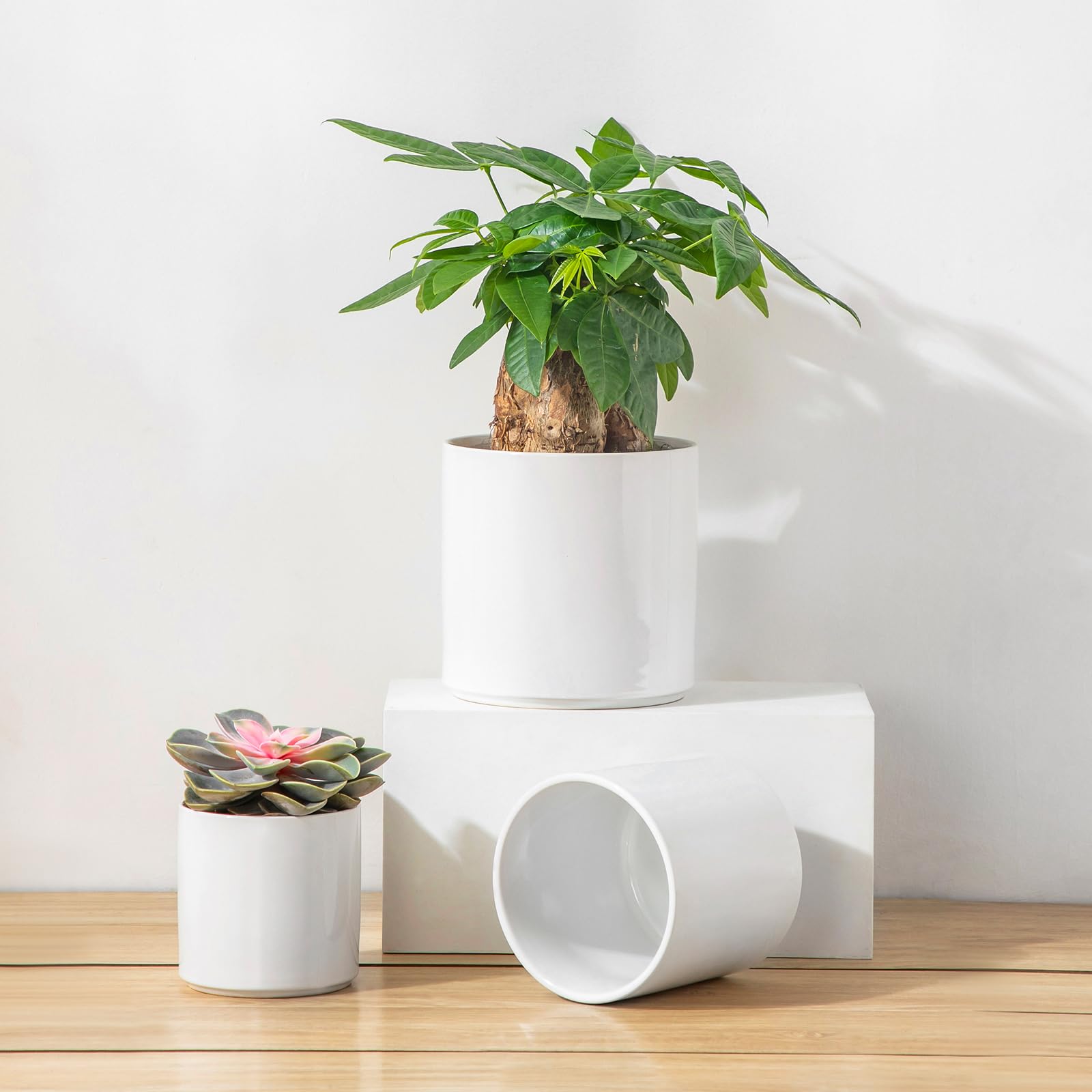 accessories included with vancasso ceramic pots