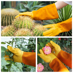 Acdyion Thorn Proof Gardening Gloves displayed with garden tools