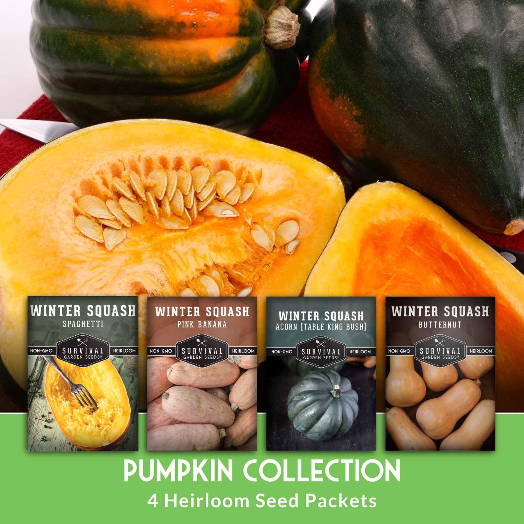 Acorn squash seeds from SURVIVAL GARDEN SEEDS
