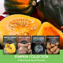 Acorn squash seeds from SURVIVAL GARDEN SEEDS
