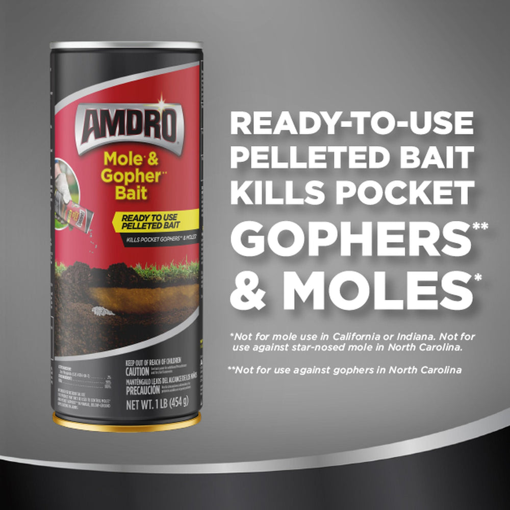 Active burrow with Amdro Gopher Bait pellets