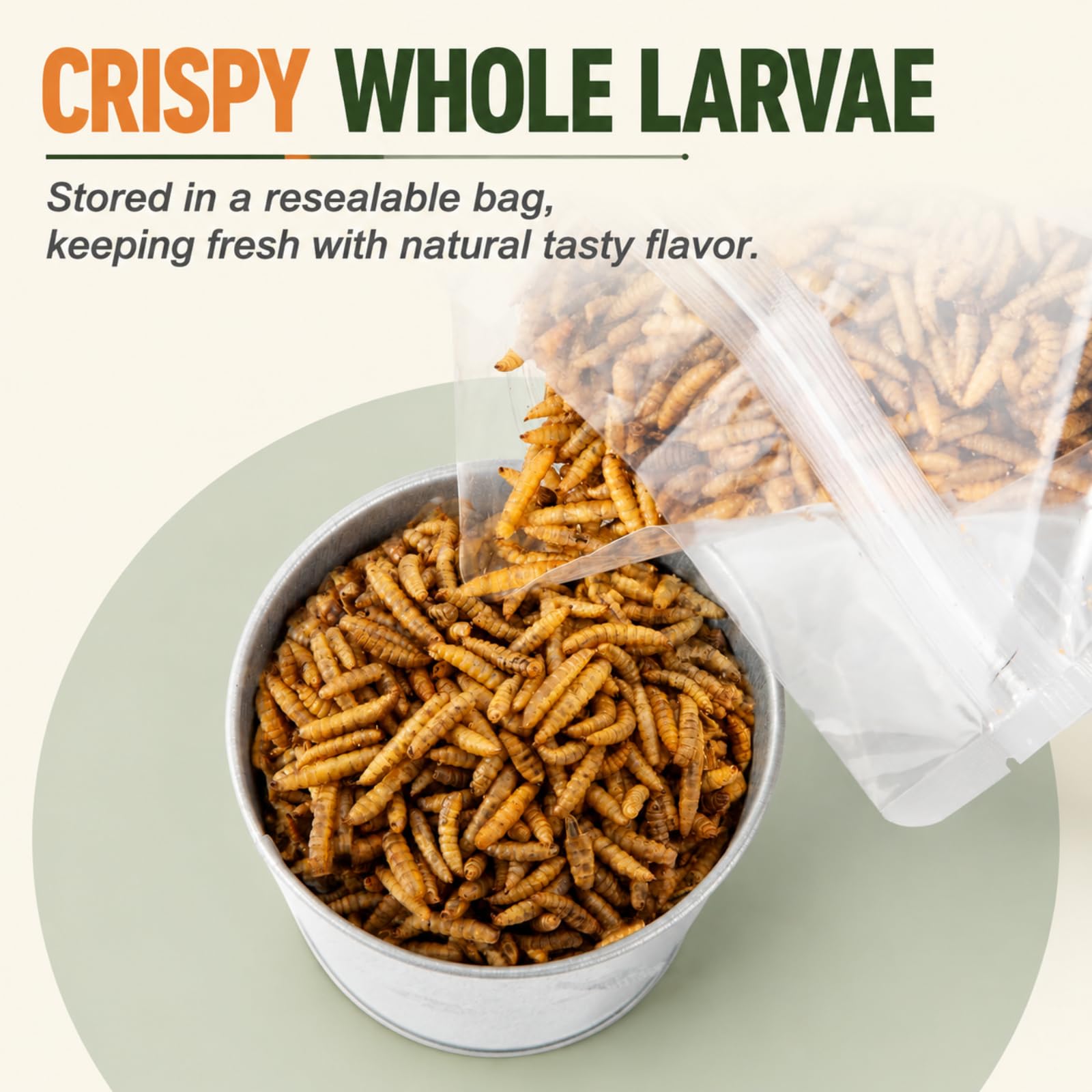 Adaman Dried Black Soldier Fly Larvae in a bowl for feeding