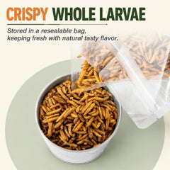 Adaman Dried Black Soldier Fly Larvae in a bowl for feeding