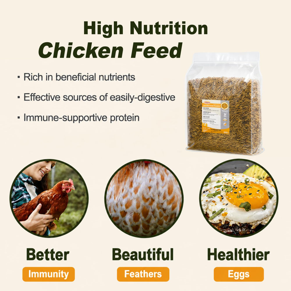 Adaman Dried Black Soldier Fly Larvae resealable package