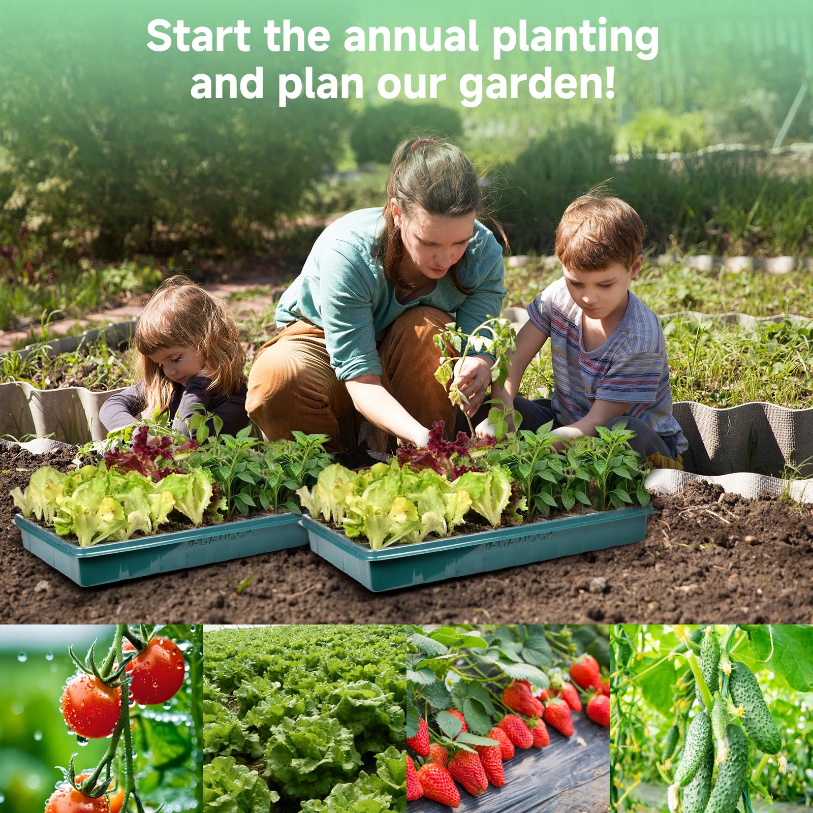 Adawook Seed Starter Kit showing various plant seedlings