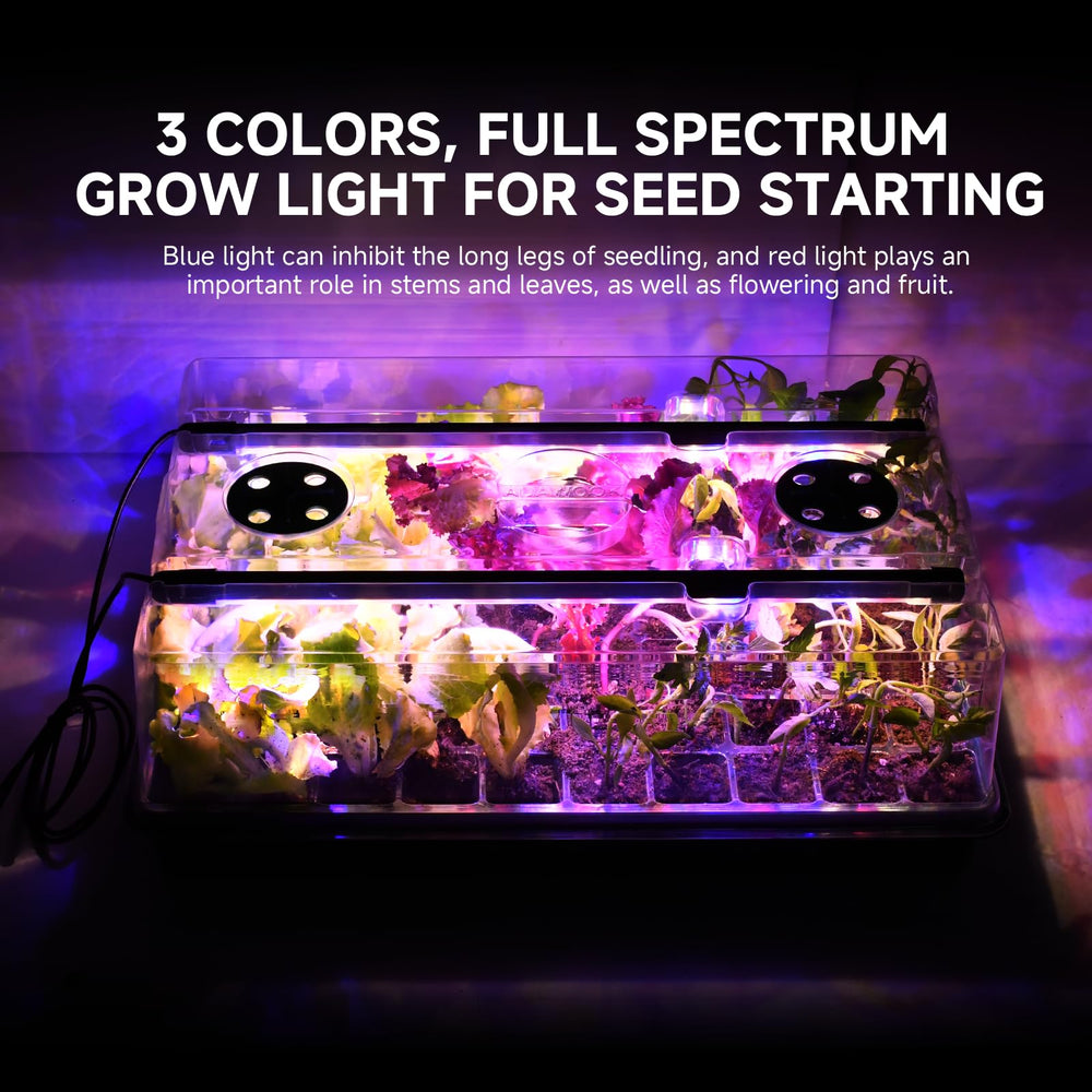 Adawook Seed Starter Kit with LED lights in use