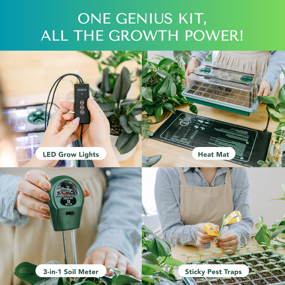 Adjustable humidity dome from GROWFRIEND seed starter kit