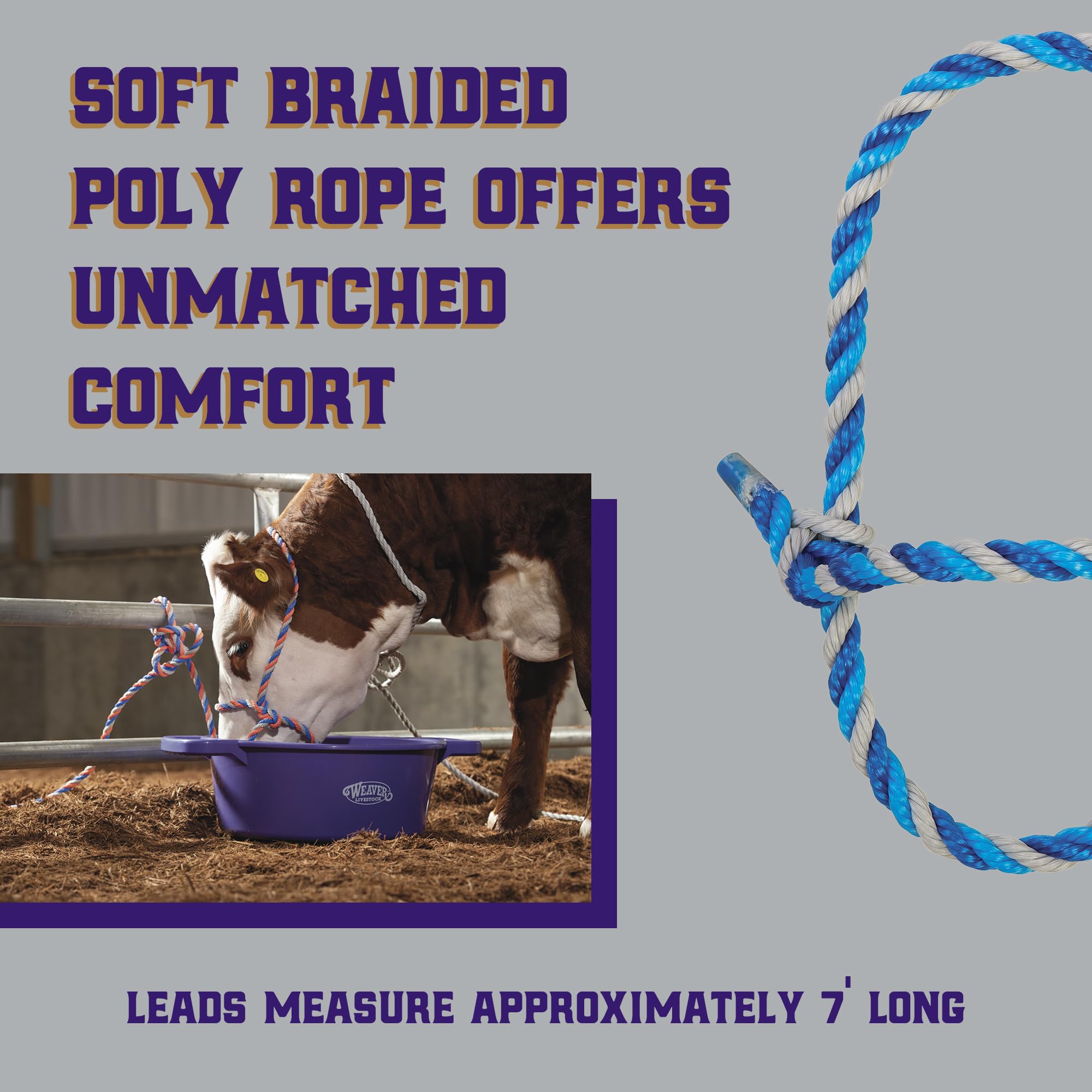Adjustable Weaver Livestock Cattle Halter for comfort