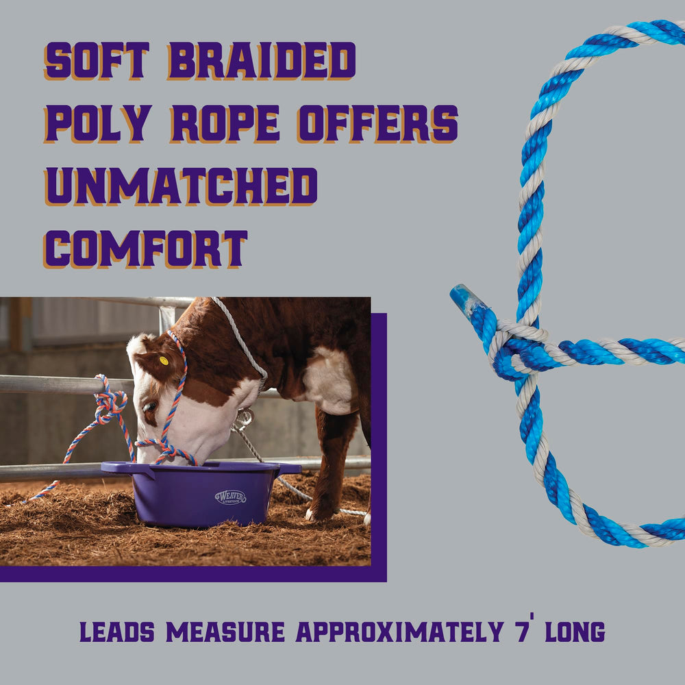Adjustable Weaver Livestock Cattle Halter for comfort