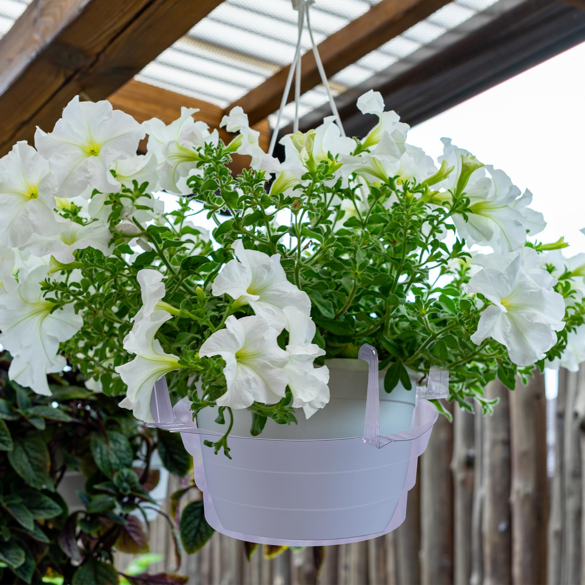 Adnee clear plastic hanging plant water catcher tray