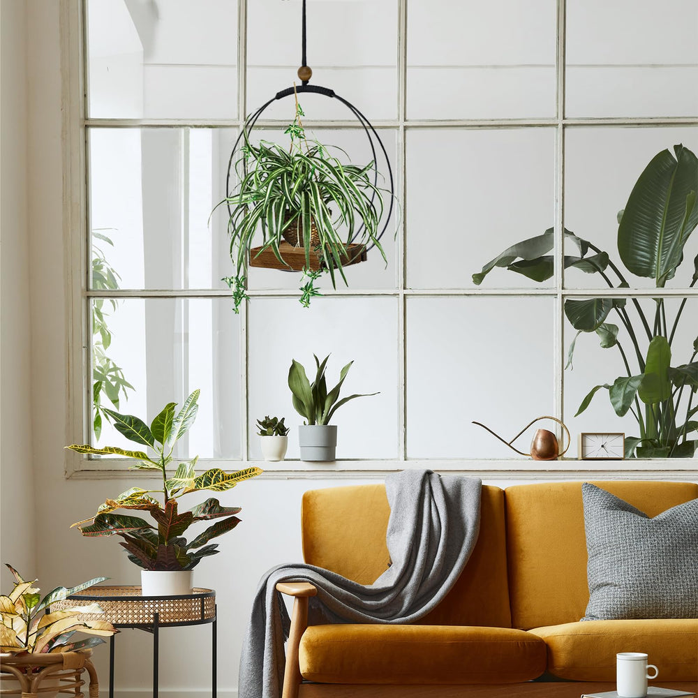 Adnkwolivt Hanging Planters with plants in a cozy living room