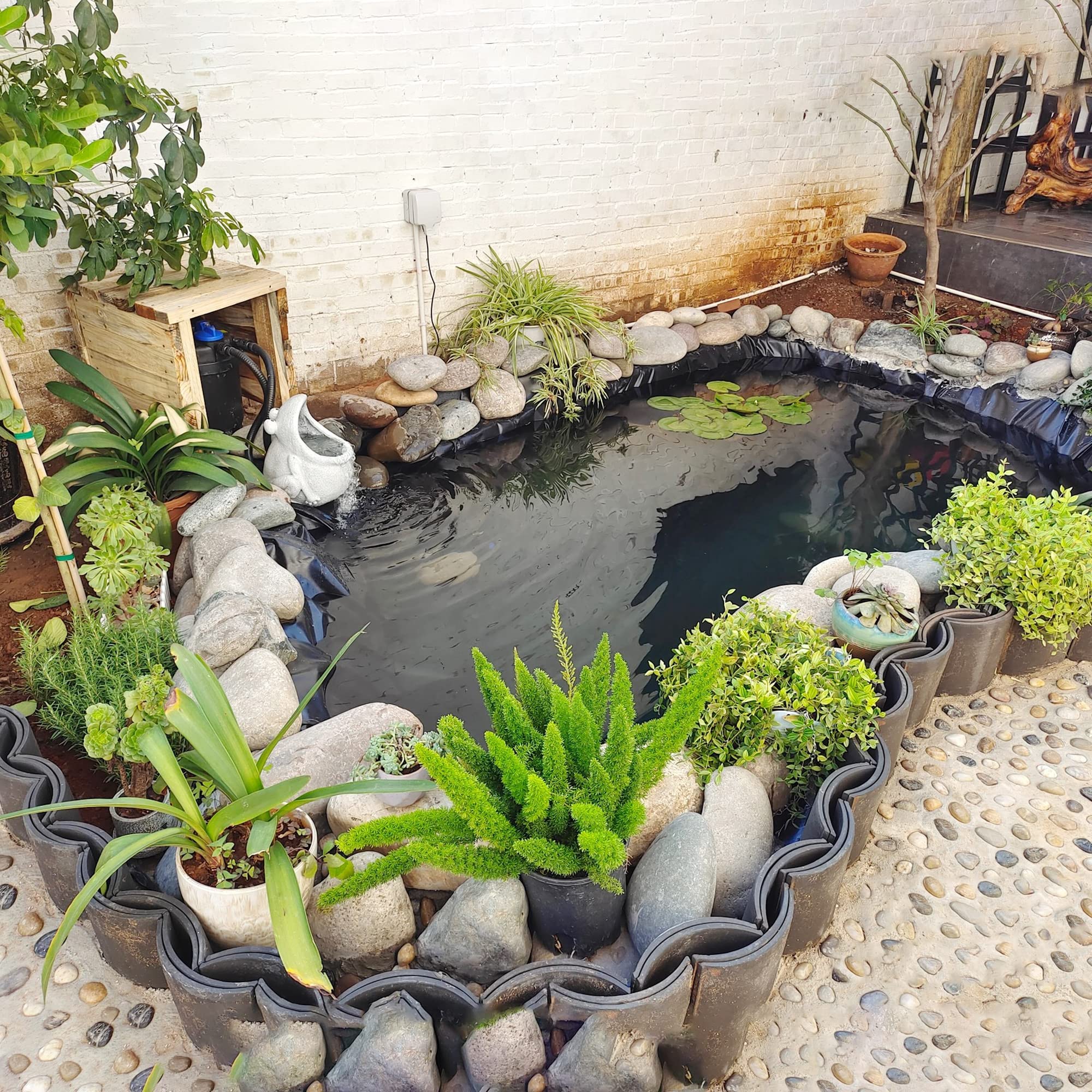 Adroiteet pond liner used in a koi pond
