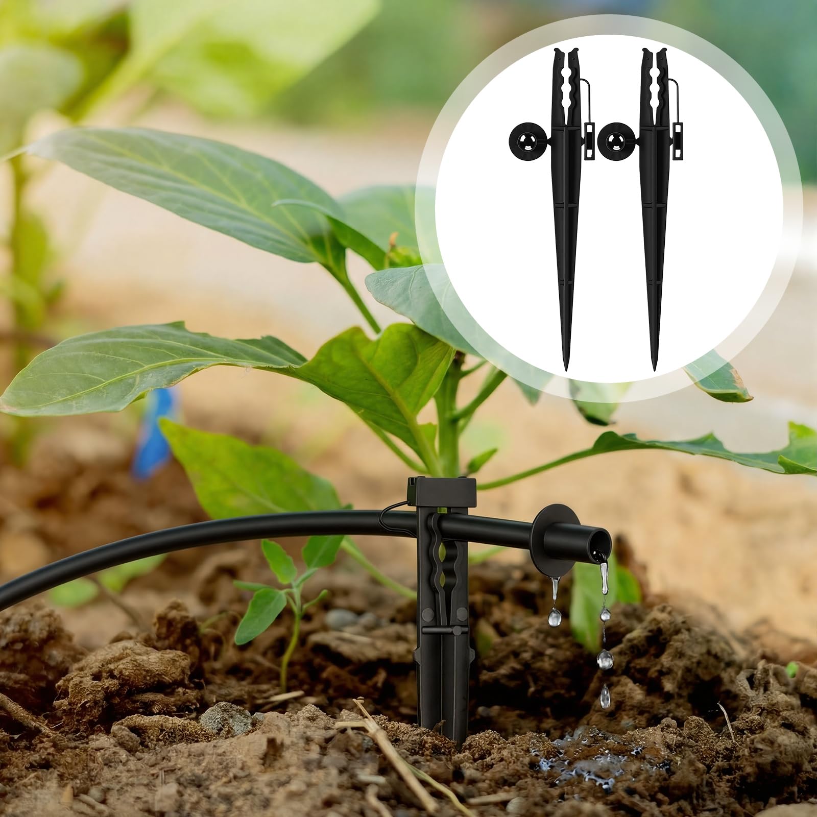 Afarnook irrigation stakes package showing 50 count