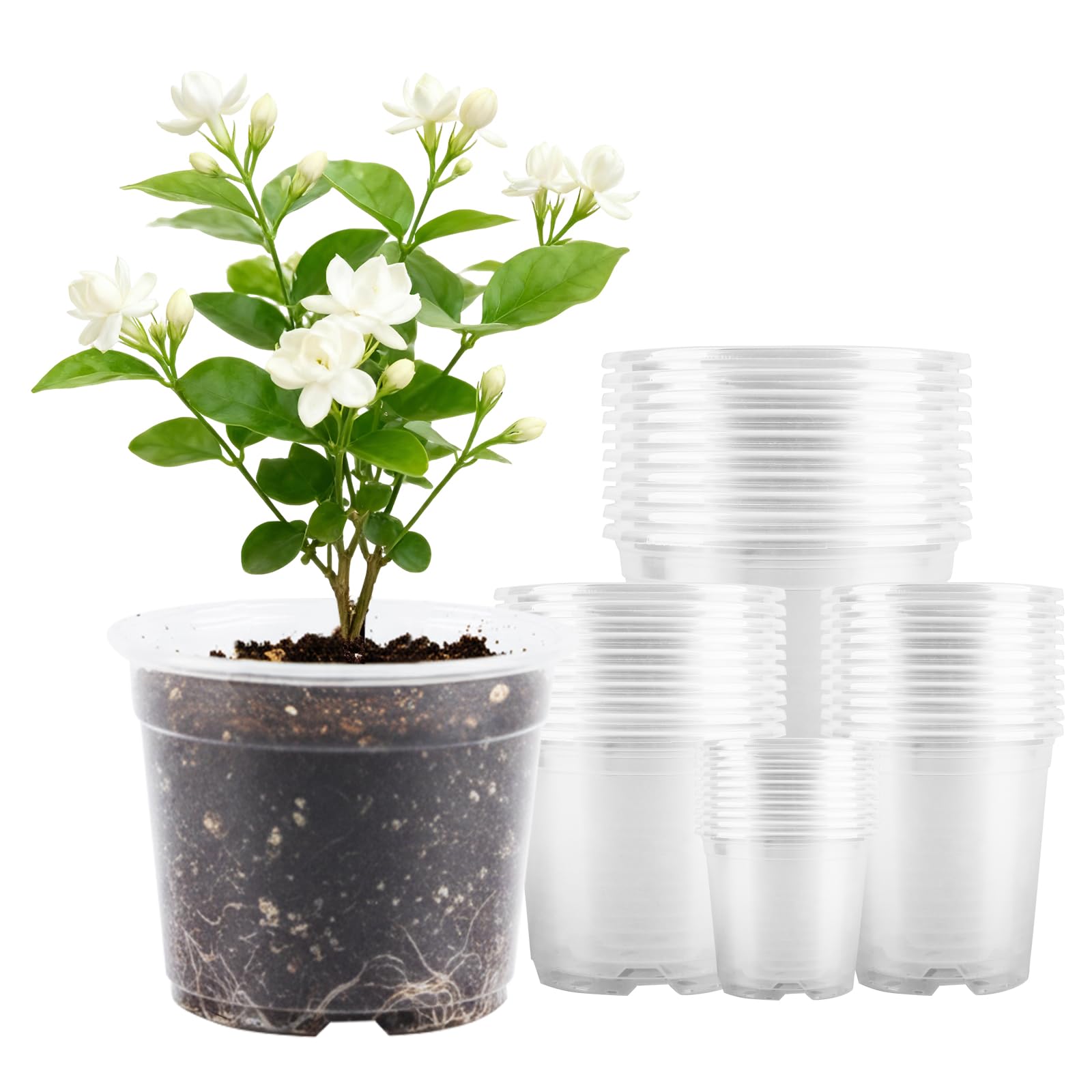 AFHGGZXZ Clear Nursery Pots set of 40, various sizes
