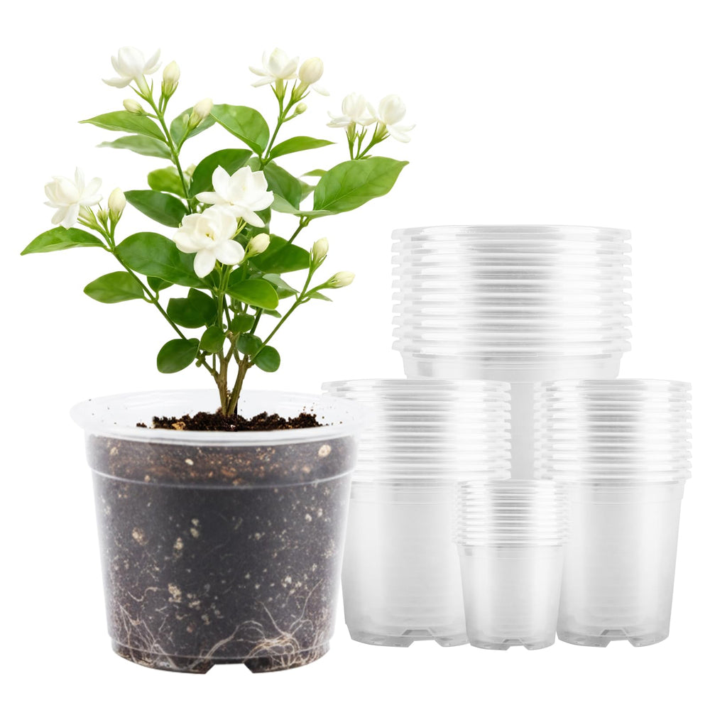 AFHGGZXZ Clear Nursery Pots set of 40, various sizes