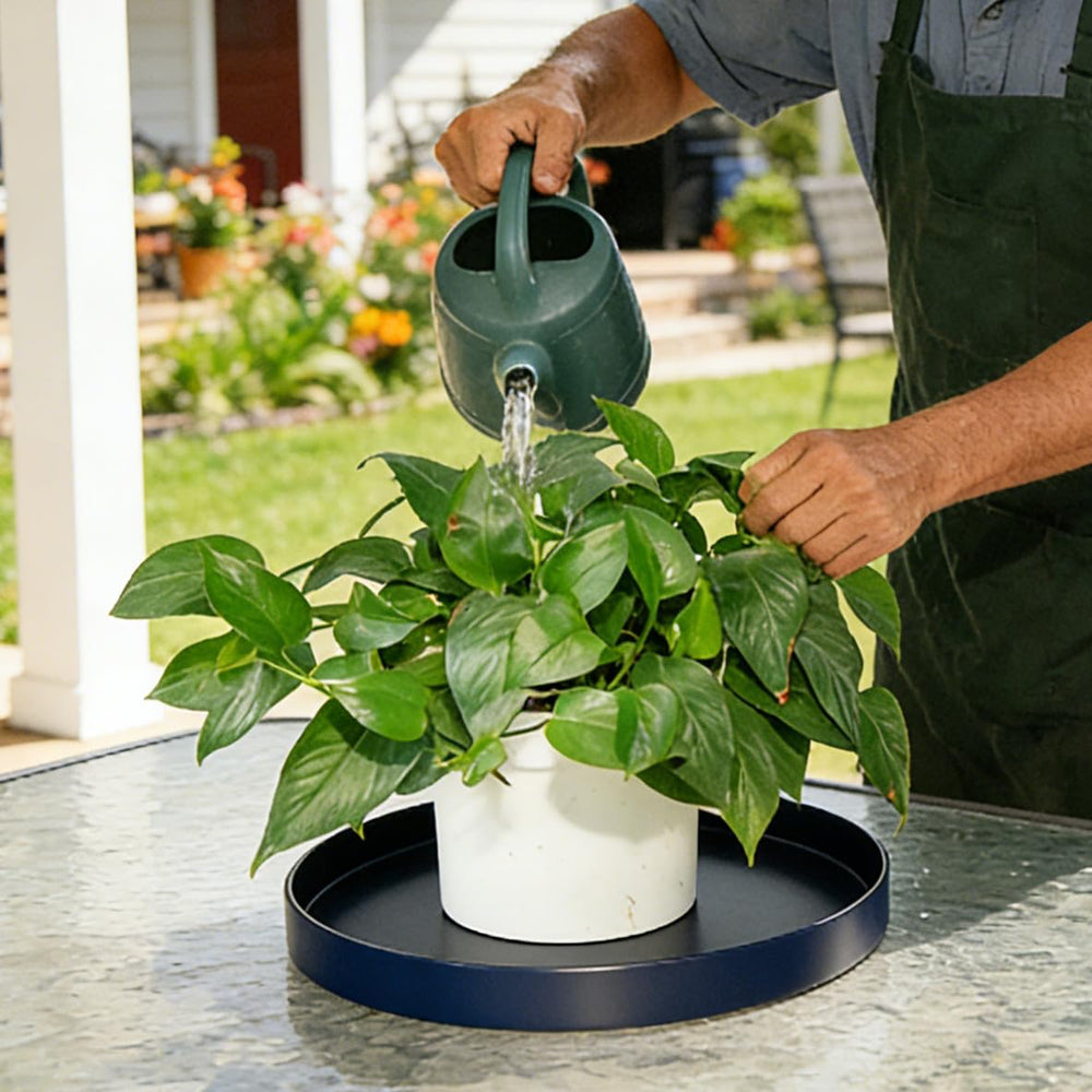 Afrine 12-inch plant saucer showing drainage holes