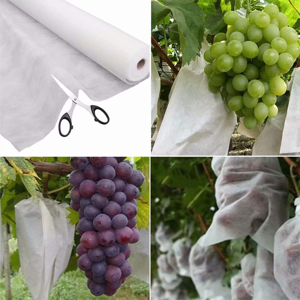 Agfabric Plant Covers demonstrating use in winter