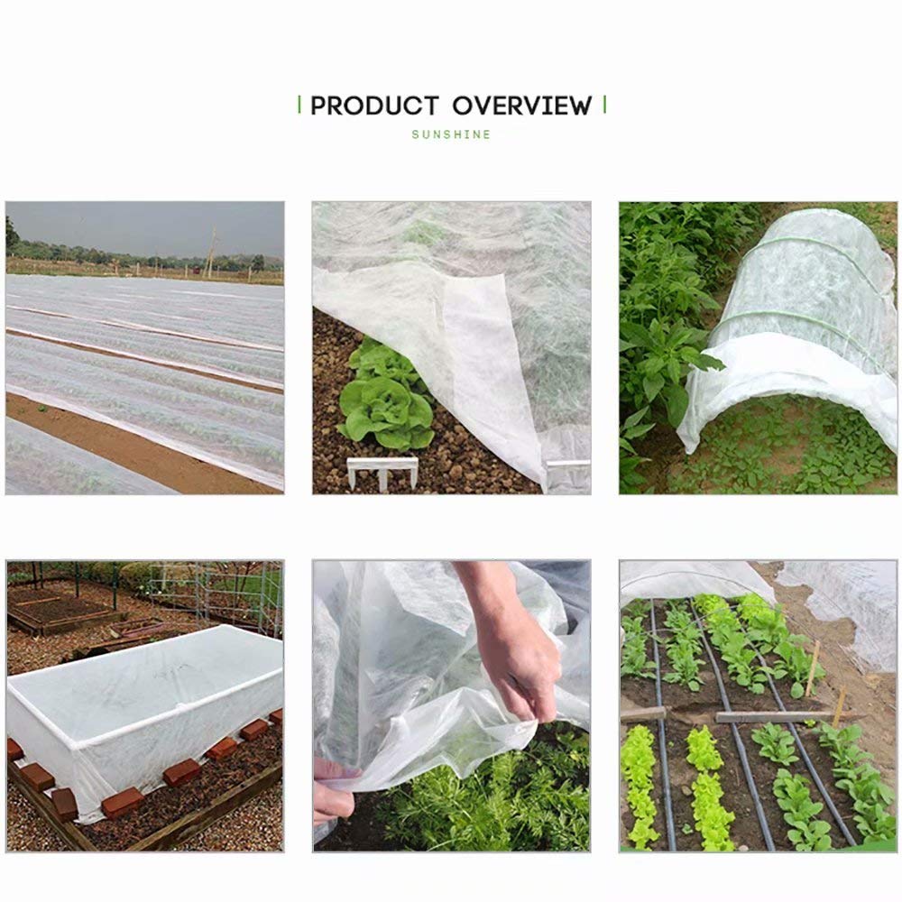 Agfabric Plant Covers secured with stones in garden