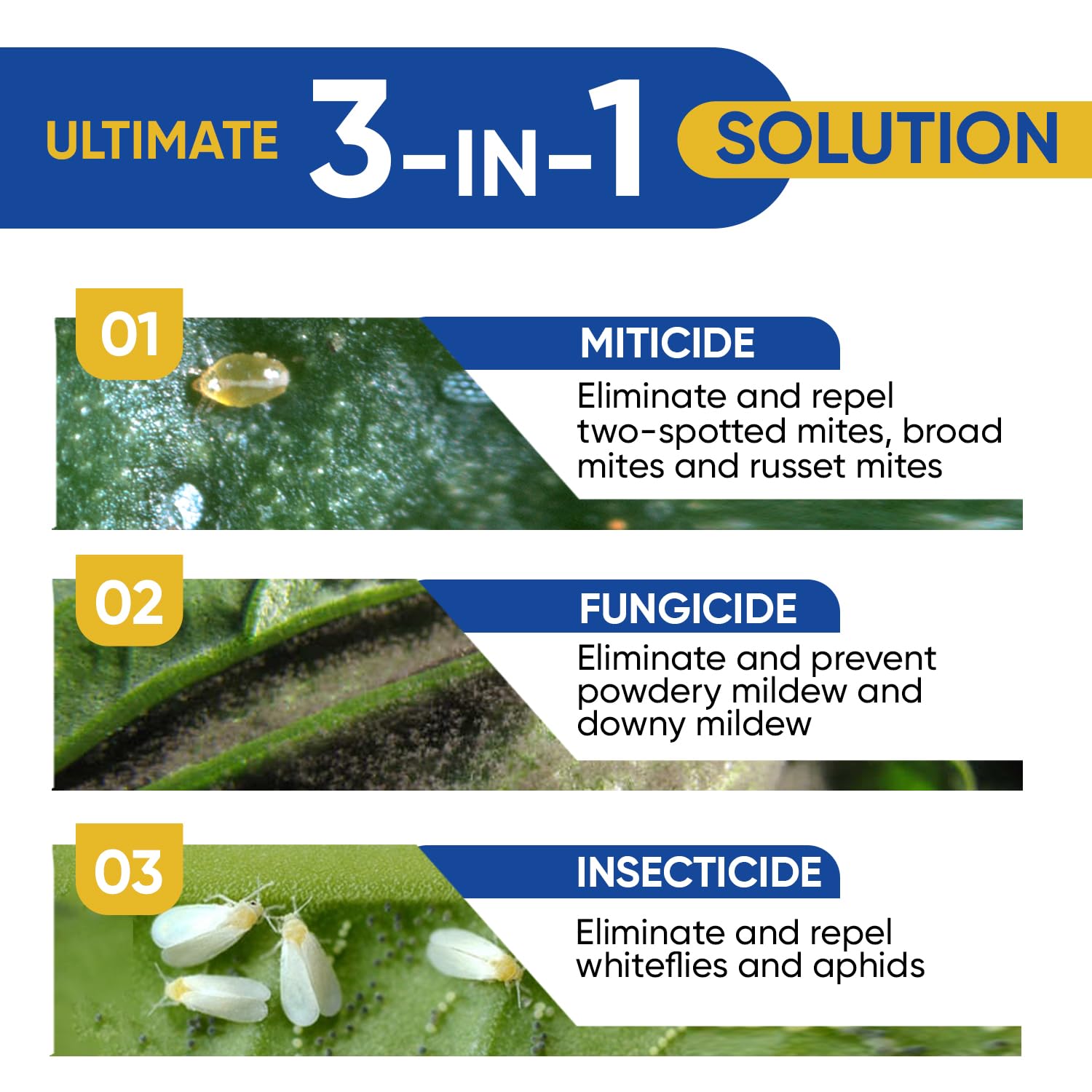 AgroMagen GrowSafe Bio-Pesticide in use on houseplants