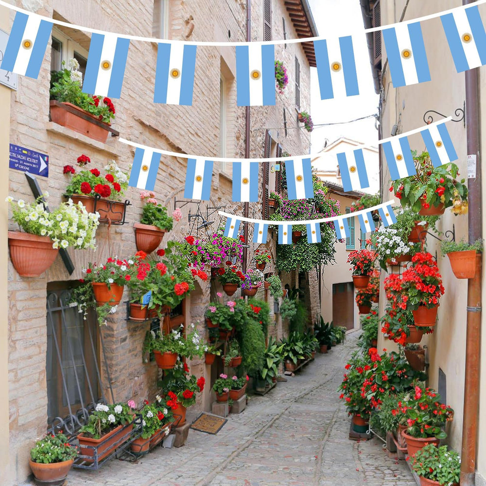 AhfuLife Argentina flags in use at a celebration event