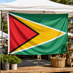 AhfuLife Guyana Flag hanging on a wall indoors