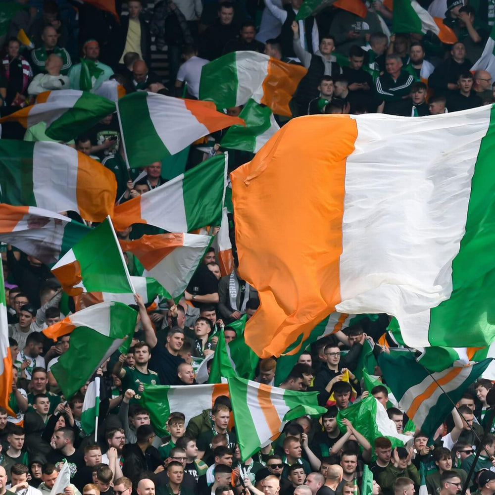 AhfuLife Irish Flag 3x5 ft on a standard flagpole