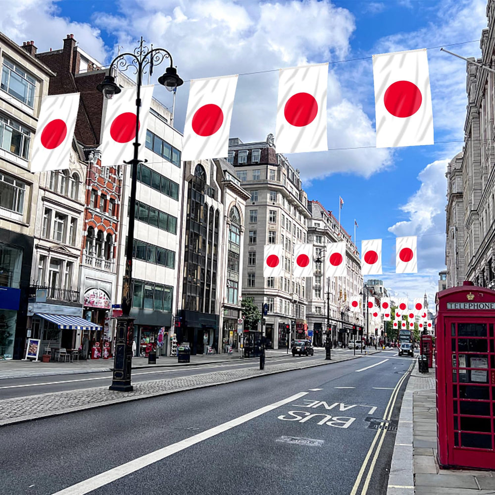 AhfuLife Japan Flag 3x5 ft vibrant colors
