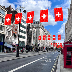 AhfuLife Switzerland Flag displayed at a national event
