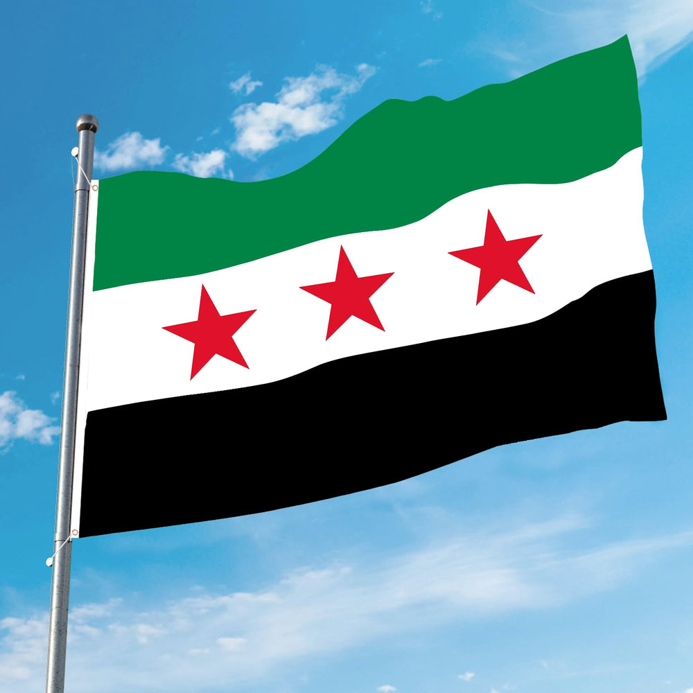 AhfuLife Syria Flag on display in a garden setting