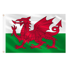 AhfuLife Wales Flag 3x5 ft front view with vibrant colours