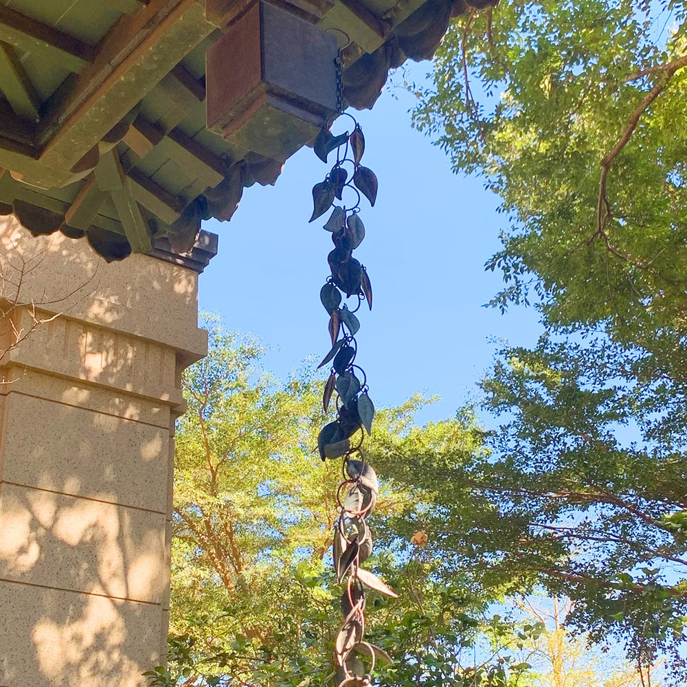 Aifeorzo rain chain displayed in a trellis