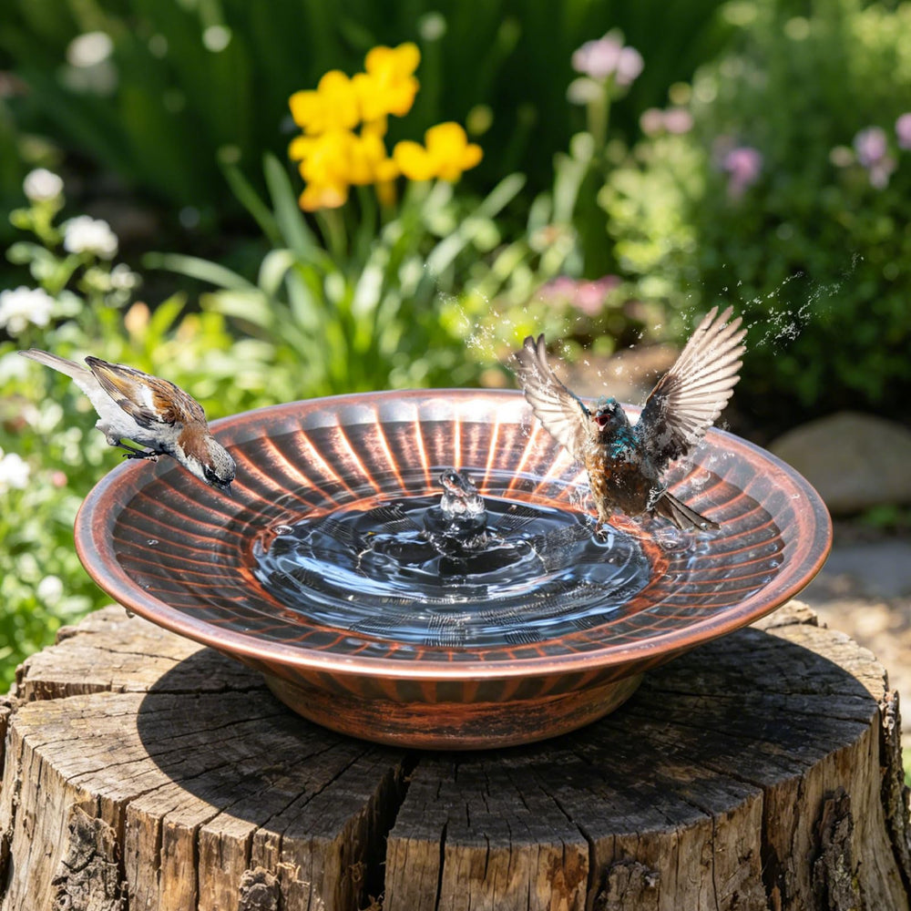 AIHAOKAN Bird Bath Fountain with water fountain feature