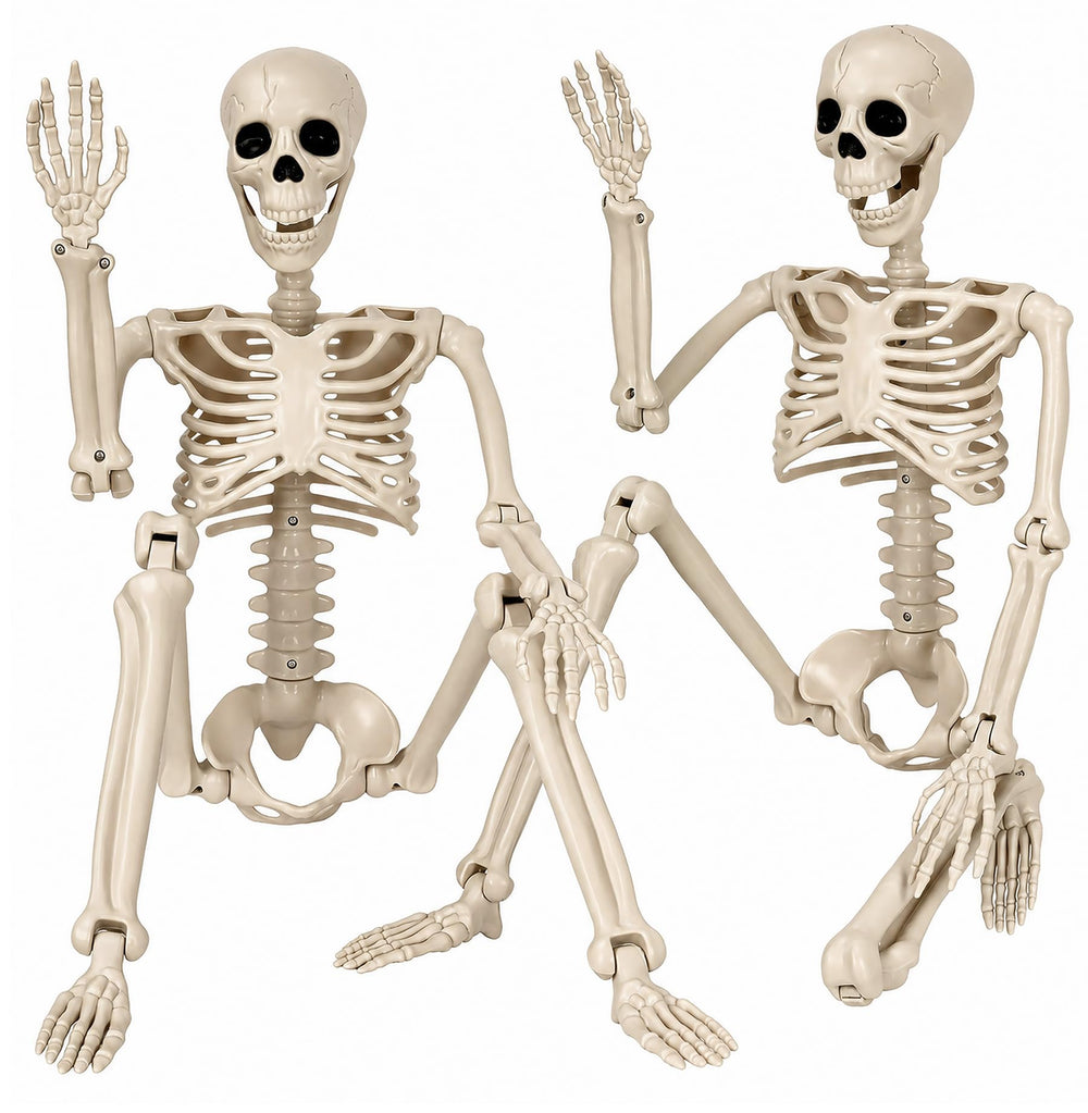 Aimeiar 36-inch Halloween skeleton front view, warm bone tones
