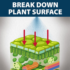 Airmax support Plus 1 Gallon with herbicide