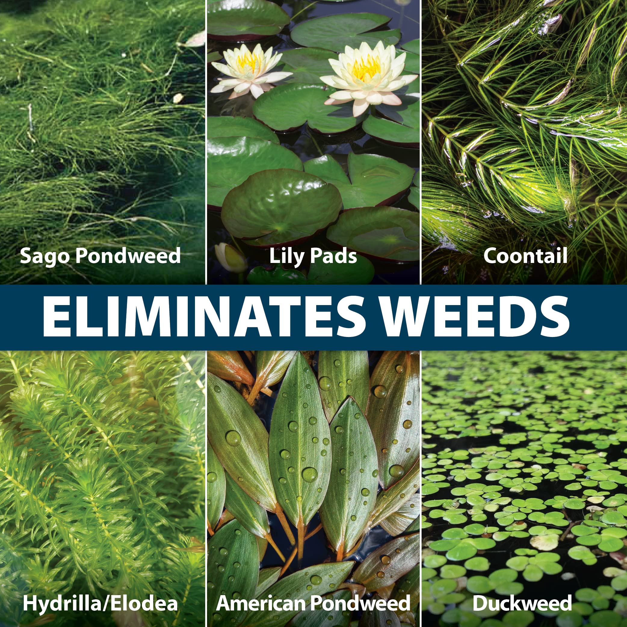 Airmax Wipeout Pond Weed Defense Herbicide application scene