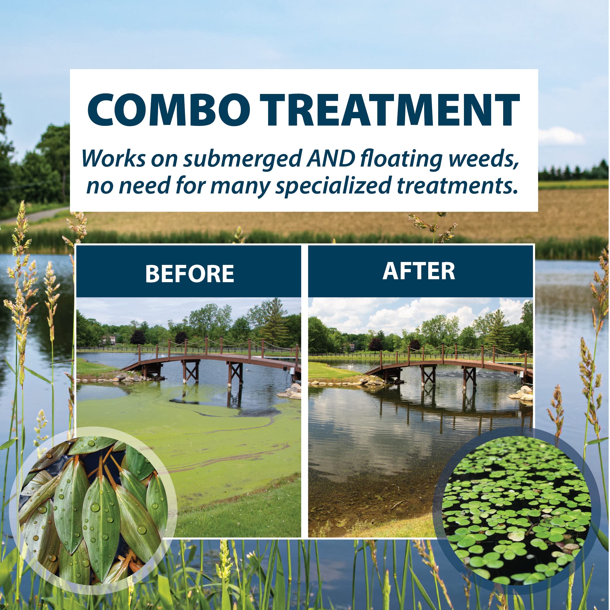 Airmax Wipeout Pond Weed Defense Herbicide usage instructions