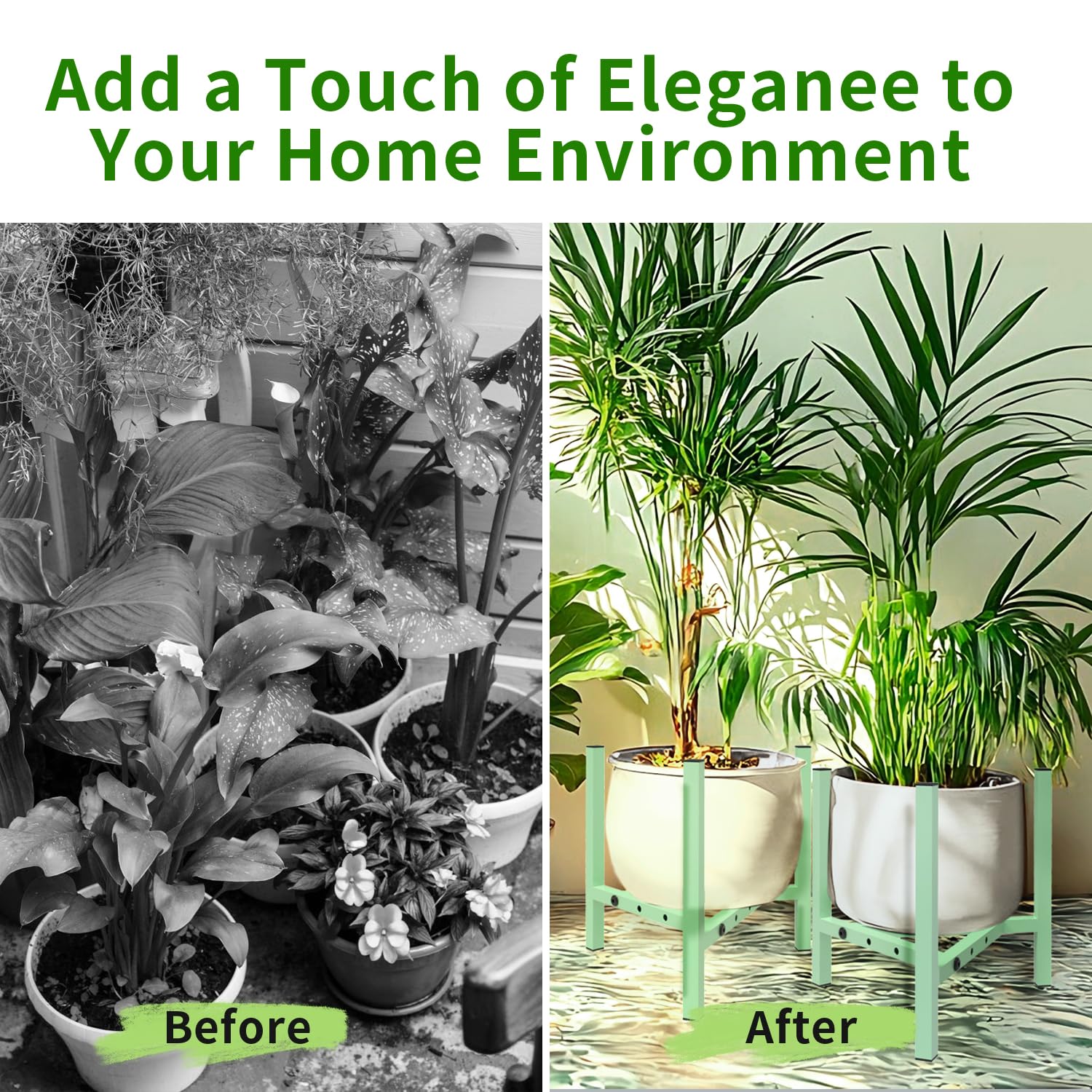 Airpark plant stand displaying a variety of indoor plants