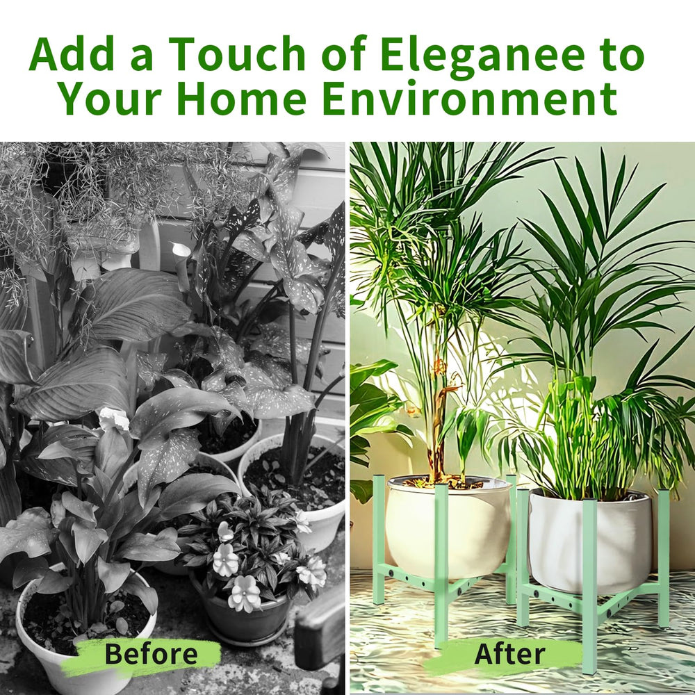 Airpark plant stand displaying a variety of indoor plants