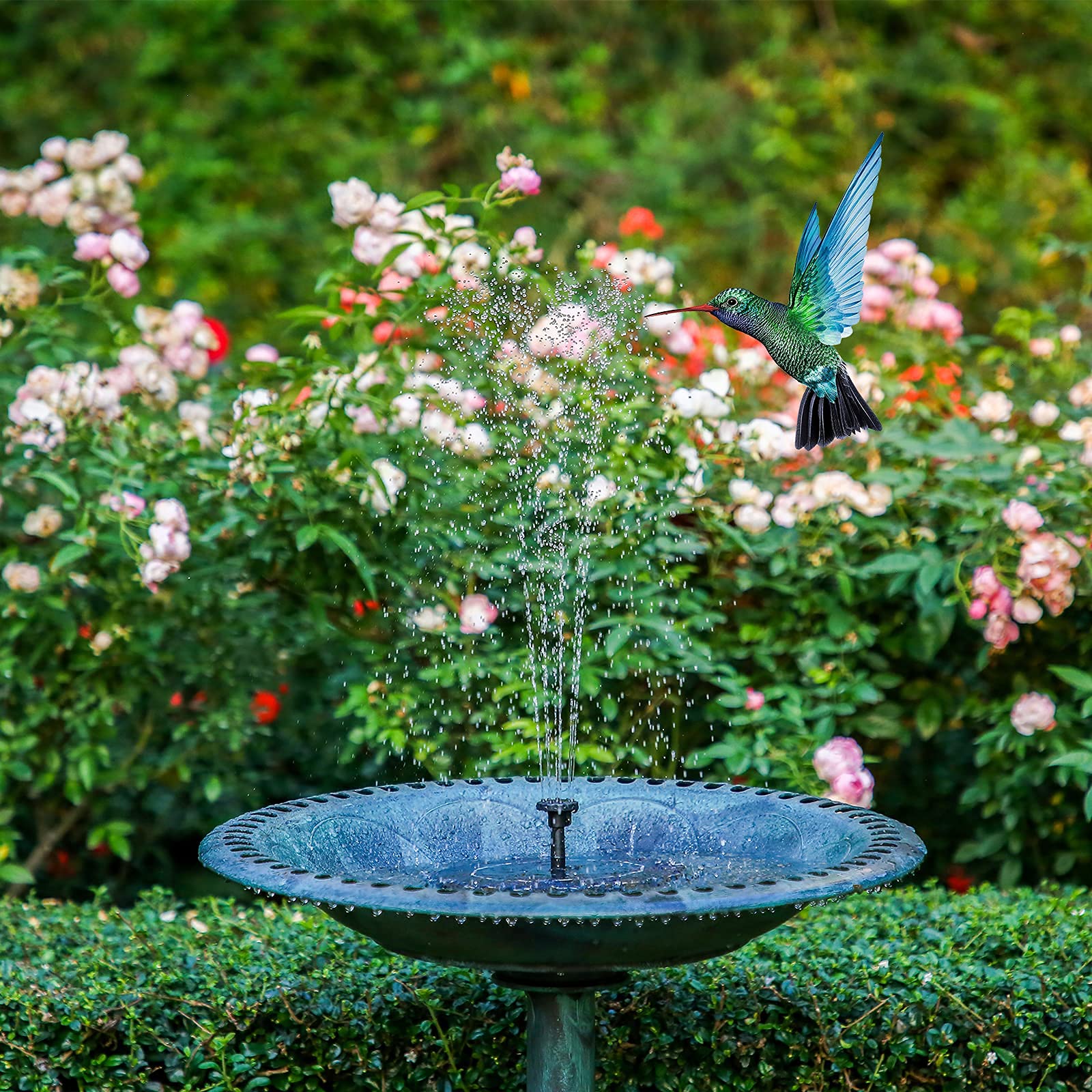 AISITIN Solar Fountain Pump 2.5W water spray demonstration