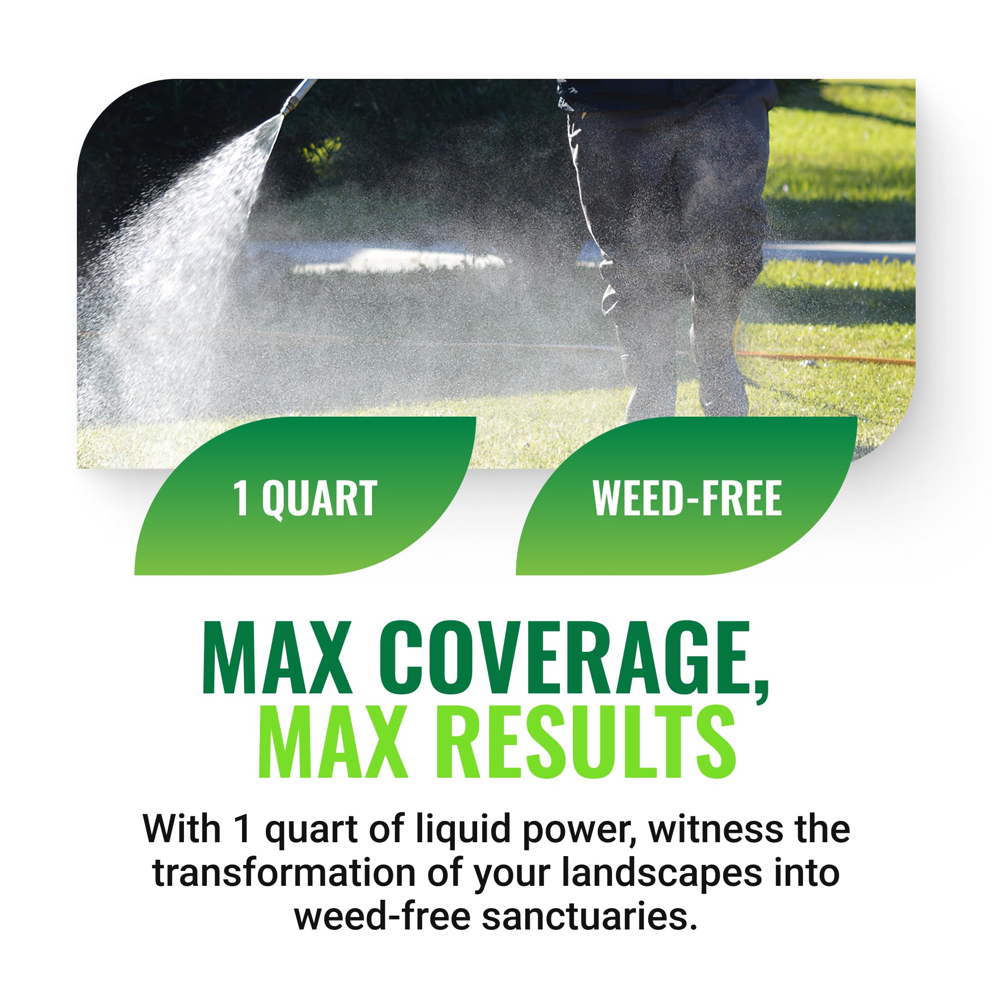 Albaugh Sublime Weed Killer packaging with active ingredients