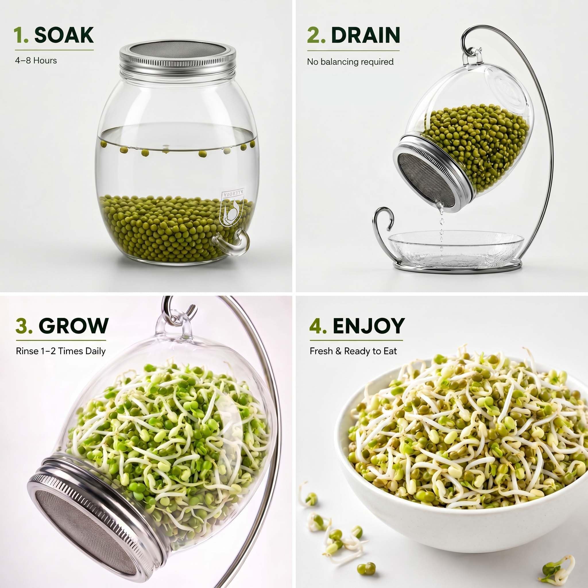 ALCEDIA Sprouting Jar Kit decorative display on kitchen counter