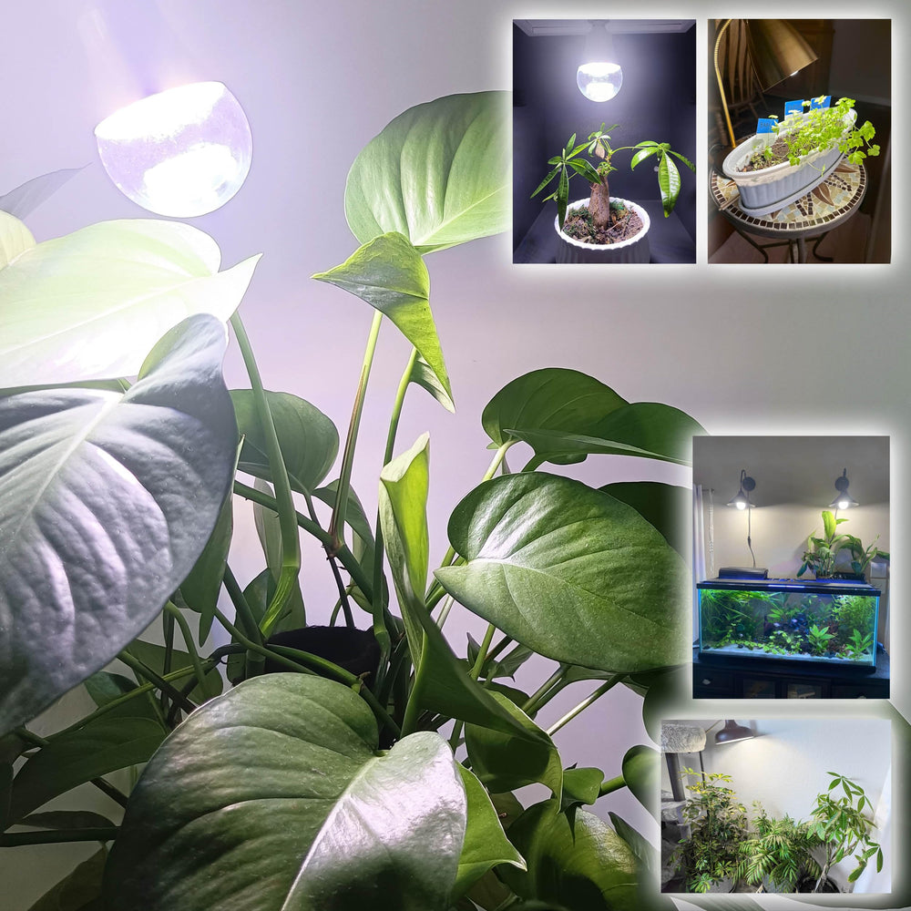 ALIDE LED Grow Light Bulb demonstrating its brightness