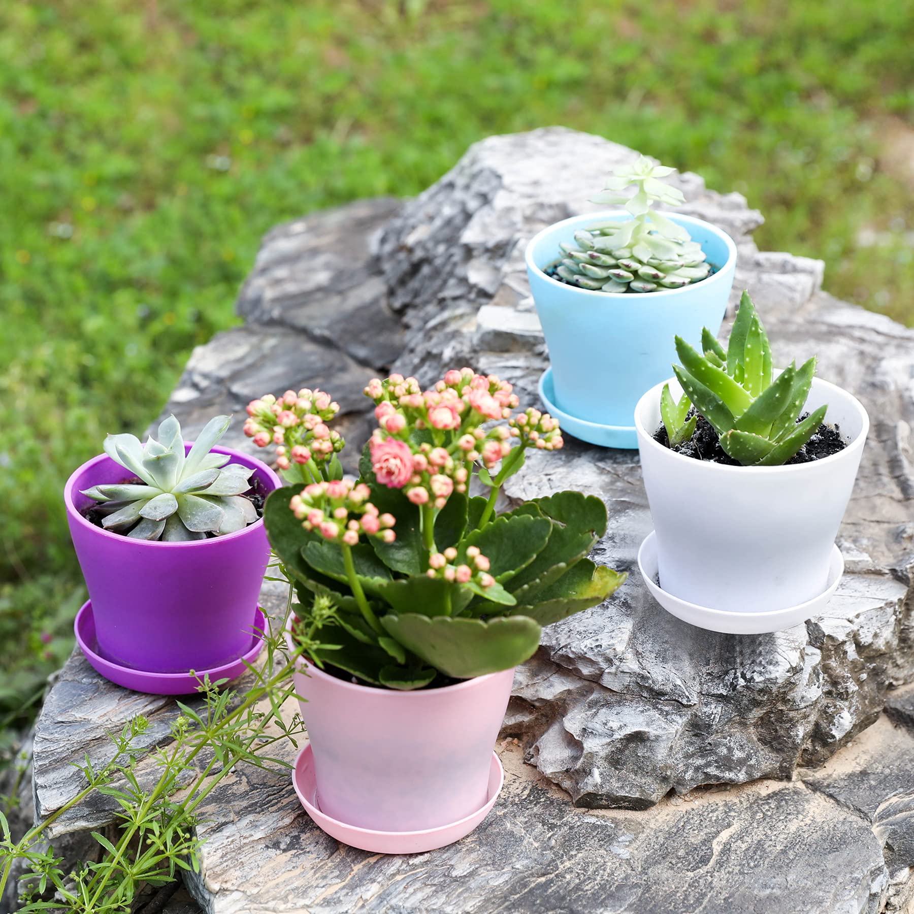 All 10 TDHDIKE plastic planters displayed together