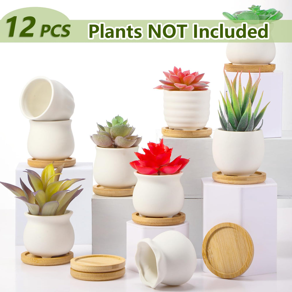 All 12 styles of Remerry ceramic pots displayed together
