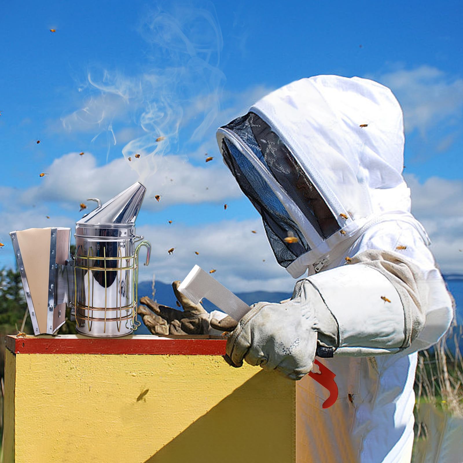 All 31 pieces of the Honey Lake Beekeeping Supplies Starter Kit displayed