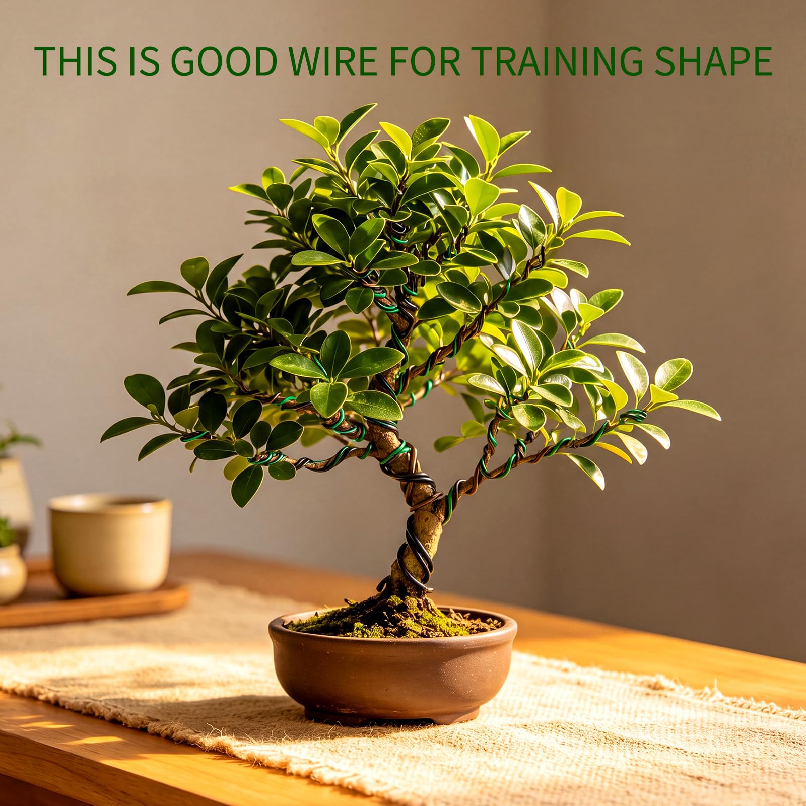 All components of Mudder Bonsai Training Wire Set displayed together