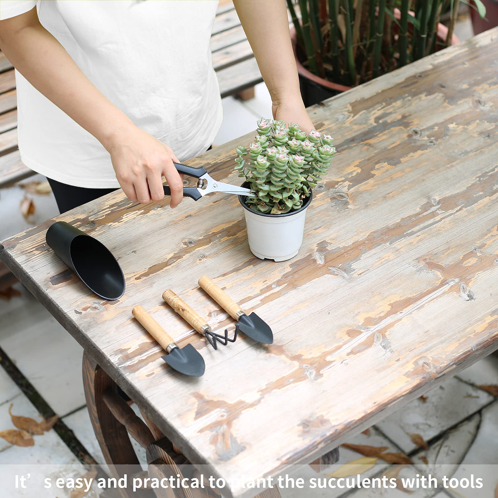 All five tools in Songtaste Succulent Tools Set displayed together