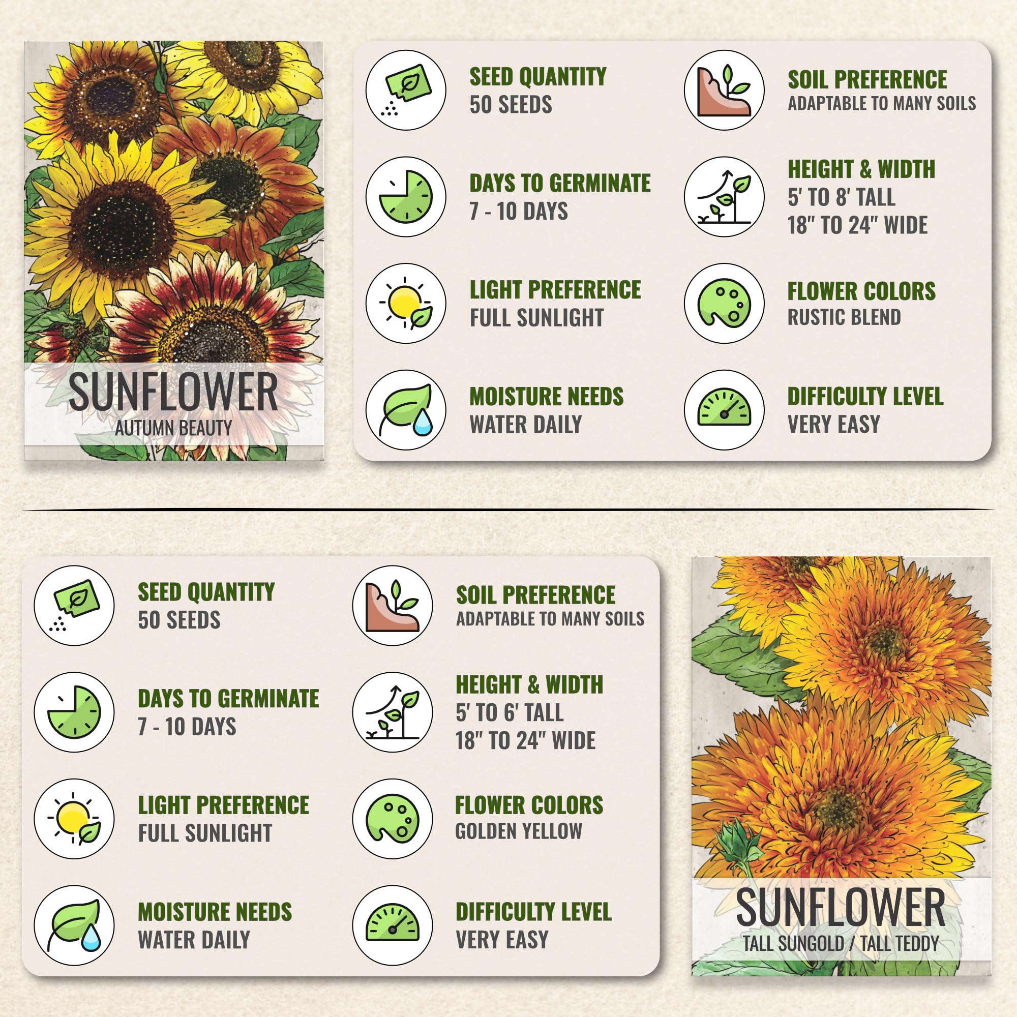All six sunflower seed packets arranged together